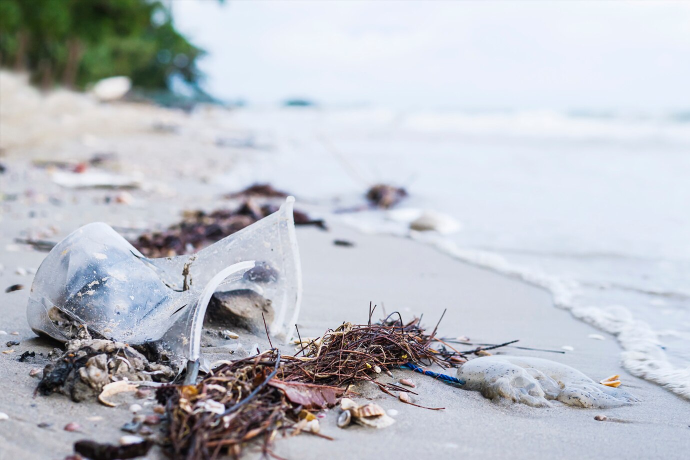 Bagaimana Sampah Plastik Berakhir di Lautan?
