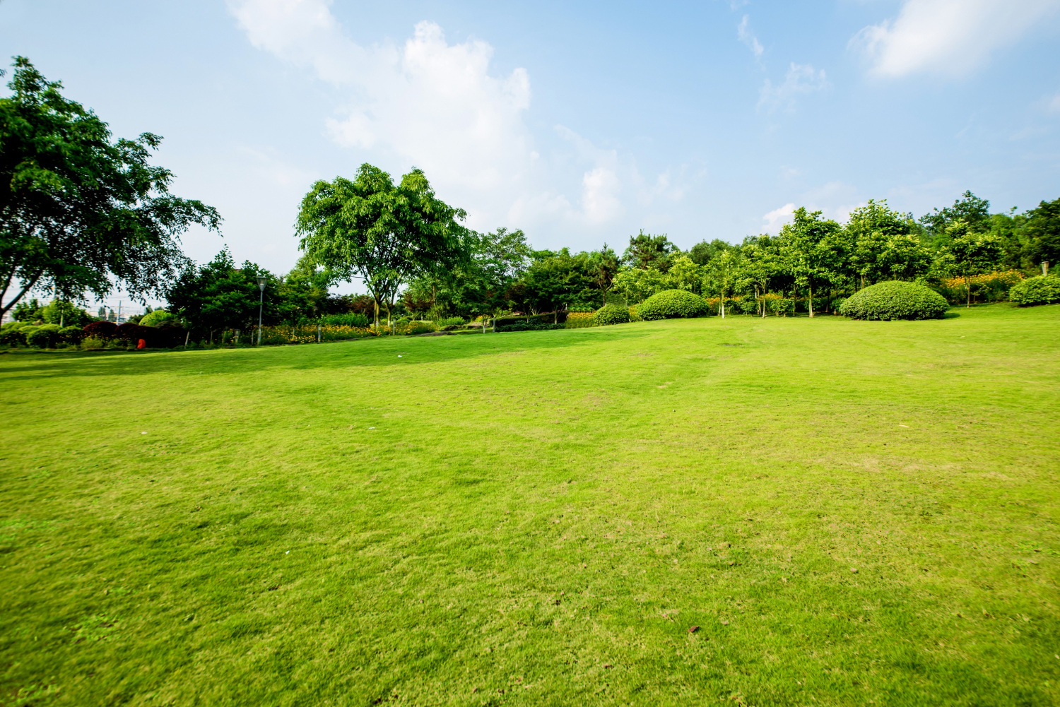 Mengenal Environmental Offsetting dan Nature-Based Solutions
